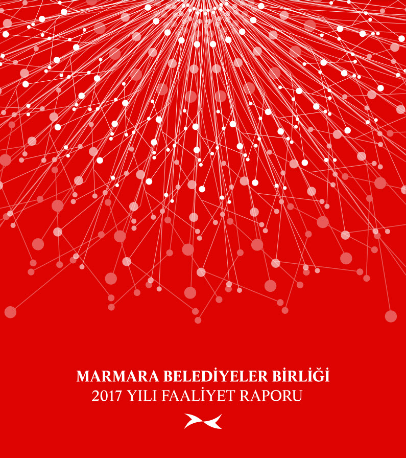 2017 Yılı Faaliyet Raporu