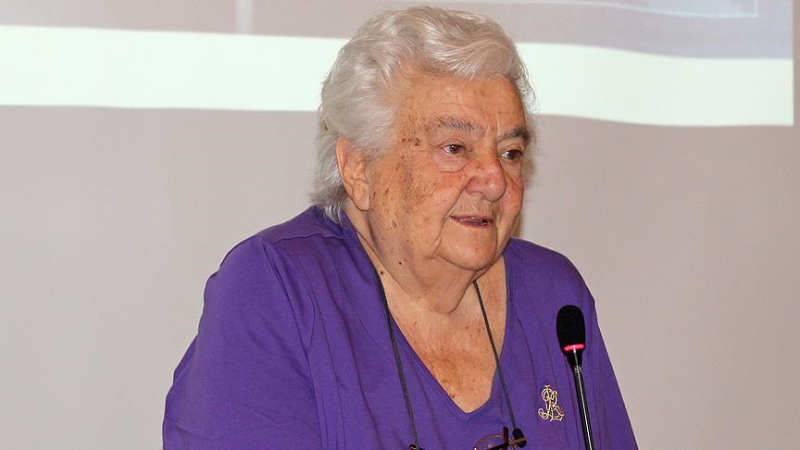 'Matrakçı Nasuh Önemli Bir Kişi, Alelade Biriymiş Gibi İşlendi'}