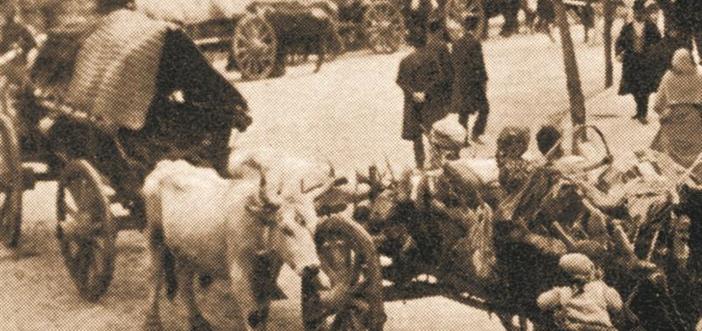 Türkiye’nin Göç Tarihi Sempozyumu 20 Nisan’da İstanbul’da}