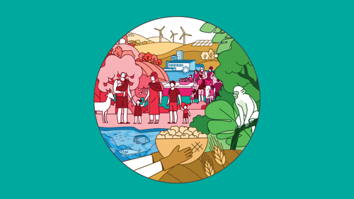 Fatih Belediyesinin Projesi Urban SDG Knowledge Hub'da Yer Aldı