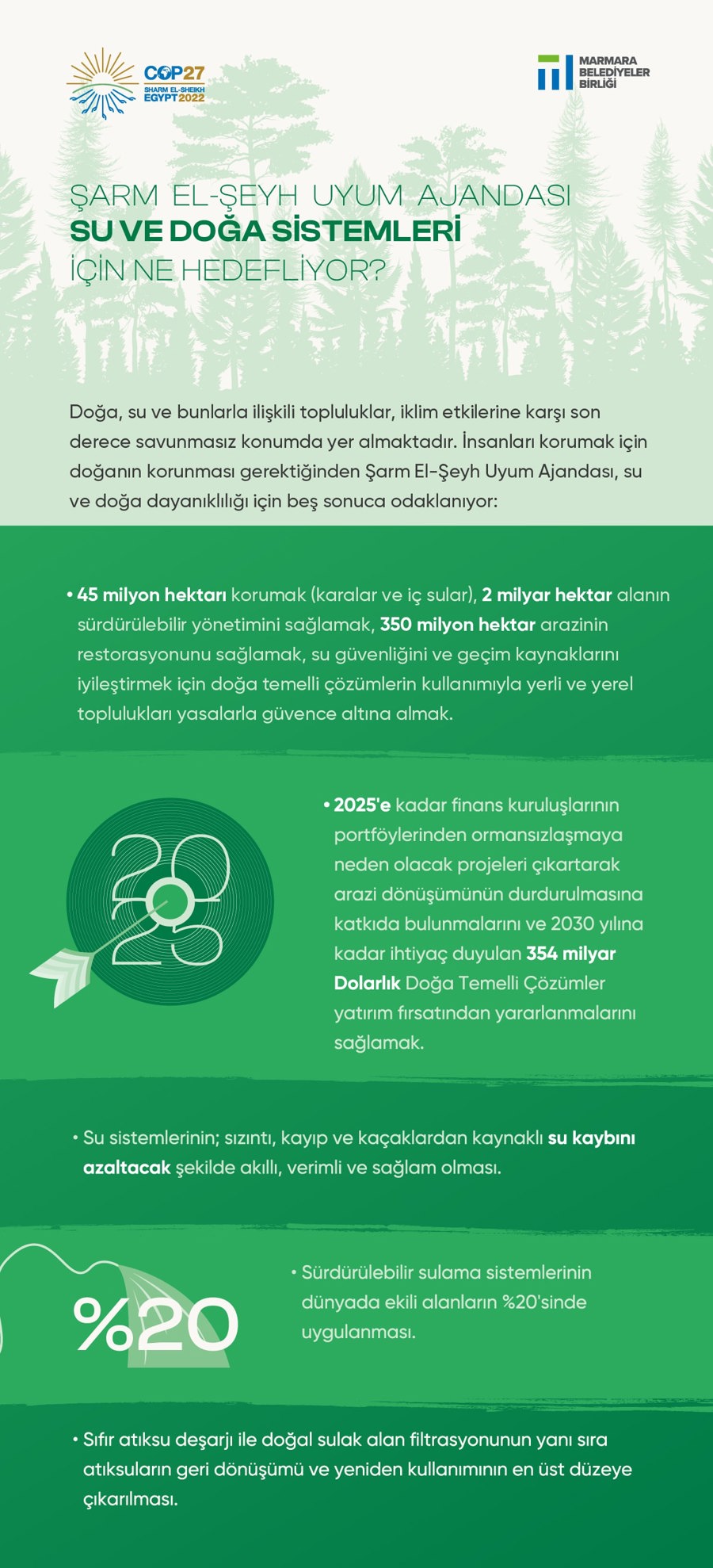 COP27'den: Şarm El-şeyh Uyum Ajandası Ne Diyor?}