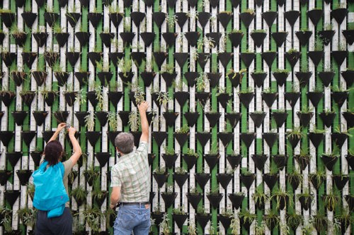 COP27’de İklimi Güçlendirme Eylemi ve Sivil Toplum Günü