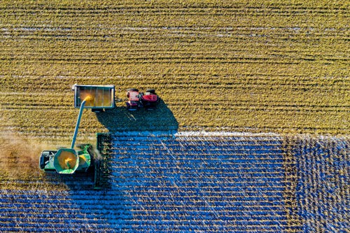COP27’de Tarım Günü: Doğa Temelli Çözümler
