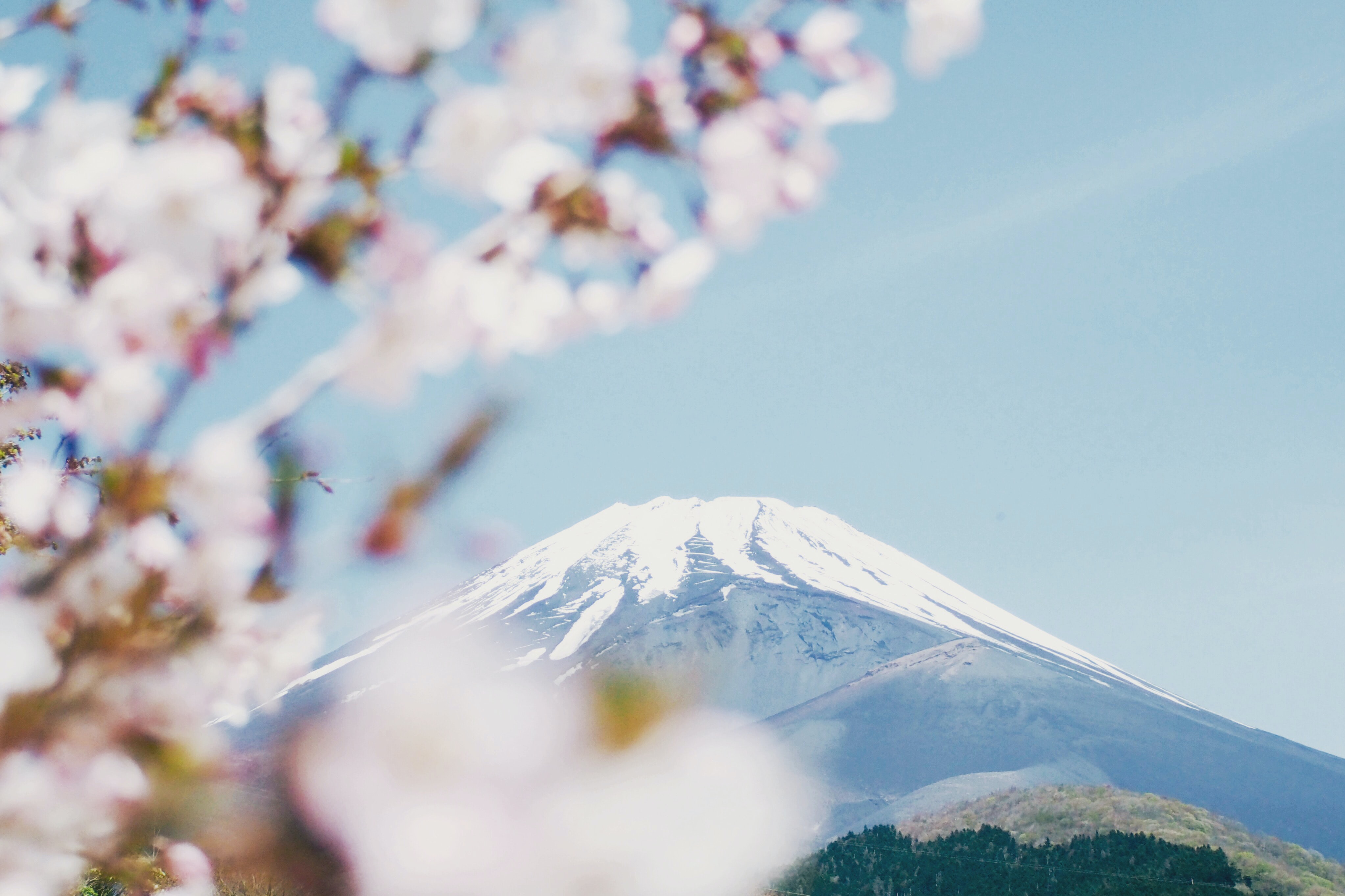 Japon Devleti Tarafından Yürütülen 