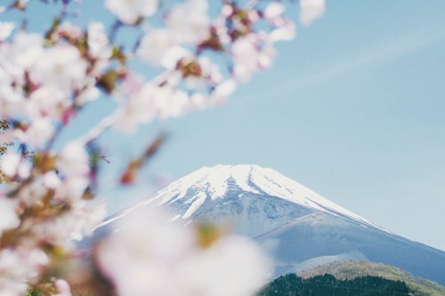 Japon Devleti Tarafından Yürütülen 