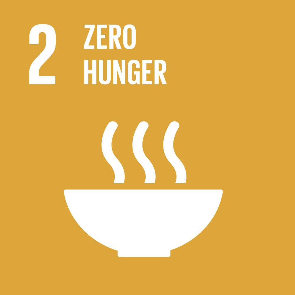 2- Zero Hunger