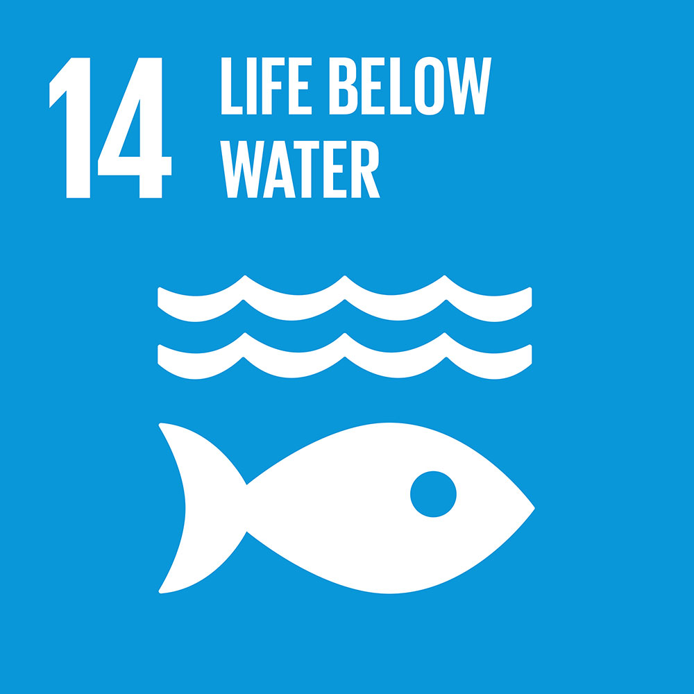 14- Life Below Water