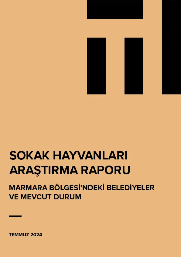 Sokak Hayvanları Araştırma Raporu: Marmara Bölgesi’ndeki Belediyeler ve Mevcut Durum