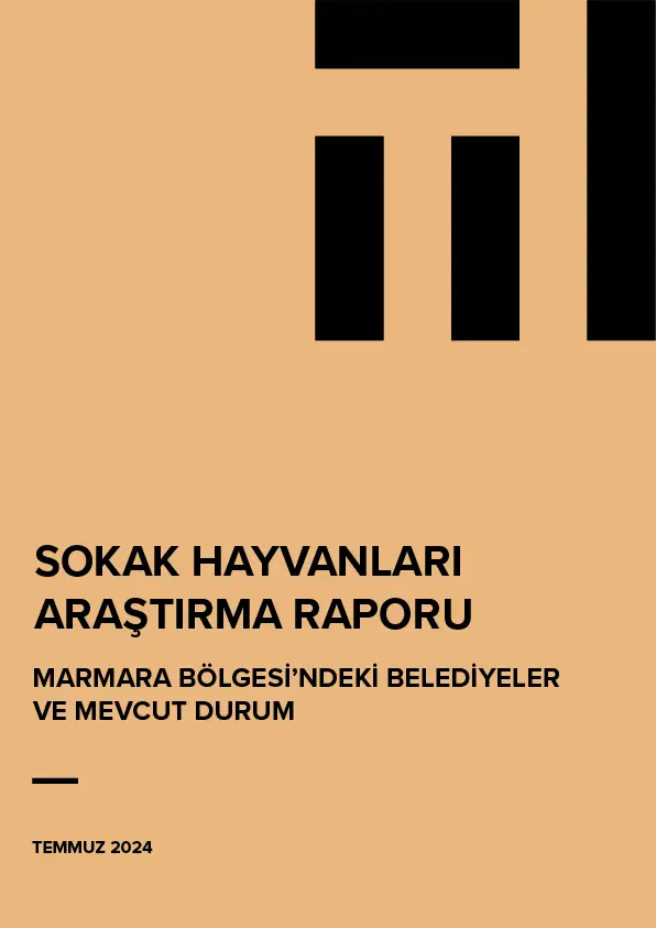 Sokak Hayvanları Araştırma Raporu: Marmara Bölgesi’ndeki Belediyeler ve Mevcut Durum
                                    Resmi